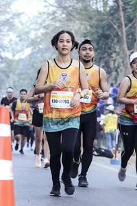 BIB: 082, 10793
                            <button type="button" onclick="openModal(10346807)" class="btn btn-primary btn-sm float-right btn-popup" data-toggle="modal" data-target=".modal-high-quality">
                        <i class="fas fa-shopping-cart"></i> Add to Cart
                    </button>
                                            <button type="button" onclick="isThisMe(10346807, true)" class="btn btn-success btn-sm float-right btn-popup btn-isme hidden" data-toggle="tooltip" data-placement="bottom" title="นี่คือรูปของคุณใช่ไหม คลิกที่นี่เพื่อเอาเข้าอัลบั้ม">
                        <i class="fas fa-plus"></i> Add to album
                    </button>
                    <button type="button" onclick="isThisMe(10346807, false)" class="btn btn-warning btn-sm float-right btn-popup btn-isnotme hidden">
                        <i class="fas fa-ban"></i> Remove from album
                    </button>