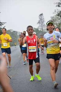 BIB: 2010, 144, 176, 11245
                            <button type="button" onclick="openModal(7828410)" class="btn btn-primary btn-sm float-right btn-popup" data-toggle="modal" data-target=".modal-high-quality">
                        <i class="fas fa-shopping-cart"></i> Add to Cart
                    </button>
                                            <button type="button" onclick="isThisMe(7828410, true)" class="btn btn-success btn-sm float-right btn-popup btn-isme hidden" data-toggle="tooltip" data-placement="bottom" title="นี่คือรูปของคุณใช่ไหม คลิกที่นี่เพื่อเอาเข้าอัลบั้ม">
                        <i class="fas fa-plus"></i> Add to album
                    </button>
                    <button type="button" onclick="isThisMe(7828410, false)" class="btn btn-warning btn-sm float-right btn-popup btn-isnotme hidden">
                        <i class="fas fa-ban"></i> Remove from album
                    </button>