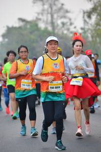 BIB: 16471, 1121, 10414
                            <button type="button" onclick="openModal(7845801)" class="btn btn-primary btn-sm float-right btn-popup" data-toggle="modal" data-target=".modal-high-quality">
                        <i class="fas fa-shopping-cart"></i> Add to Cart
                    </button>
                                            <button type="button" onclick="isThisMe(7845801, true)" class="btn btn-success btn-sm float-right btn-popup btn-isme hidden" data-toggle="tooltip" data-placement="bottom" title="นี่คือรูปของคุณใช่ไหม คลิกที่นี่เพื่อเอาเข้าอัลบั้ม">
                        <i class="fas fa-plus"></i> Add to album
                    </button>
                    <button type="button" onclick="isThisMe(7845801, false)" class="btn btn-warning btn-sm float-right btn-popup btn-isnotme hidden">
                        <i class="fas fa-ban"></i> Remove from album
                    </button>