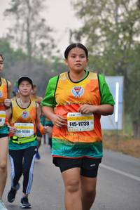 BIB: 11739, 10186
                            <button type="button" onclick="openModal(7393749)" class="btn btn-primary btn-sm float-right btn-popup" data-toggle="modal" data-target=".modal-high-quality">
                        <i class="fas fa-shopping-cart"></i> Add to Cart
                    </button>
                                            <button type="button" onclick="isThisMe(7393749, true)" class="btn btn-success btn-sm float-right btn-popup btn-isme hidden" data-toggle="tooltip" data-placement="bottom" title="นี่คือรูปของคุณใช่ไหม คลิกที่นี่เพื่อเอาเข้าอัลบั้ม">
                        <i class="fas fa-plus"></i> Add to album
                    </button>
                    <button type="button" onclick="isThisMe(7393749, false)" class="btn btn-warning btn-sm float-right btn-popup btn-isnotme hidden">
                        <i class="fas fa-ban"></i> Remove from album
                    </button>