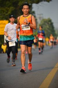 BIB: 42395
                            <button type="button" onclick="openModal(7885605)" class="btn btn-primary btn-sm float-right btn-popup" data-toggle="modal" data-target=".modal-high-quality">
                        <i class="fas fa-shopping-cart"></i> Add to Cart
                    </button>
                                            <button type="button" onclick="isThisMe(7885605, true)" class="btn btn-success btn-sm float-right btn-popup btn-isme hidden" data-toggle="tooltip" data-placement="bottom" title="นี่คือรูปของคุณใช่ไหม คลิกที่นี่เพื่อเอาเข้าอัลบั้ม">
                        <i class="fas fa-plus"></i> Add to album
                    </button>
                    <button type="button" onclick="isThisMe(7885605, false)" class="btn btn-warning btn-sm float-right btn-popup btn-isnotme hidden">
                        <i class="fas fa-ban"></i> Remove from album
                    </button>