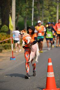 BIB: 
                            <button type="button" onclick="openModal(7946962)" class="btn btn-primary btn-sm float-right btn-popup" data-toggle="modal" data-target=".modal-high-quality">
                        <i class="fas fa-shopping-cart"></i> Add to Cart
                    </button>
                                            <button type="button" onclick="isThisMe(7946962, true)" class="btn btn-success btn-sm float-right btn-popup btn-isme hidden" data-toggle="tooltip" data-placement="bottom" title="นี่คือรูปของคุณใช่ไหม คลิกที่นี่เพื่อเอาเข้าอัลบั้ม">
                        <i class="fas fa-plus"></i> Add to album
                    </button>
                    <button type="button" onclick="isThisMe(7946962, false)" class="btn btn-warning btn-sm float-right btn-popup btn-isnotme hidden">
                        <i class="fas fa-ban"></i> Remove from album
                    </button>