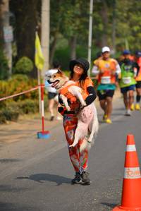 BIB: 
                            <button type="button" onclick="openModal(7946958)" class="btn btn-primary btn-sm float-right btn-popup" data-toggle="modal" data-target=".modal-high-quality">
                        <i class="fas fa-shopping-cart"></i> Add to Cart
                    </button>
                                            <button type="button" onclick="isThisMe(7946958, true)" class="btn btn-success btn-sm float-right btn-popup btn-isme hidden" data-toggle="tooltip" data-placement="bottom" title="นี่คือรูปของคุณใช่ไหม คลิกที่นี่เพื่อเอาเข้าอัลบั้ม">
                        <i class="fas fa-plus"></i> Add to album
                    </button>
                    <button type="button" onclick="isThisMe(7946958, false)" class="btn btn-warning btn-sm float-right btn-popup btn-isnotme hidden">
                        <i class="fas fa-ban"></i> Remove from album
                    </button>