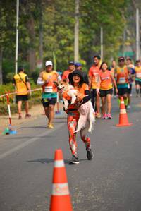 BIB: 
                            <button type="button" onclick="openModal(7946955)" class="btn btn-primary btn-sm float-right btn-popup" data-toggle="modal" data-target=".modal-high-quality">
                        <i class="fas fa-shopping-cart"></i> Add to Cart
                    </button>
                                            <button type="button" onclick="isThisMe(7946955, true)" class="btn btn-success btn-sm float-right btn-popup btn-isme hidden" data-toggle="tooltip" data-placement="bottom" title="นี่คือรูปของคุณใช่ไหม คลิกที่นี่เพื่อเอาเข้าอัลบั้ม">
                        <i class="fas fa-plus"></i> Add to album
                    </button>
                    <button type="button" onclick="isThisMe(7946955, false)" class="btn btn-warning btn-sm float-right btn-popup btn-isnotme hidden">
                        <i class="fas fa-ban"></i> Remove from album
                    </button>