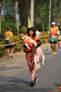 BIB: 
                            <button type="button" onclick="openModal(7947030)" class="btn btn-primary btn-sm float-right btn-popup" data-toggle="modal" data-target=".modal-high-quality">
                        <i class="fas fa-shopping-cart"></i> Add to Cart
                    </button>
                                            <button type="button" onclick="isThisMe(7947030, true)" class="btn btn-success btn-sm float-right btn-popup btn-isme hidden" data-toggle="tooltip" data-placement="bottom" title="นี่คือรูปของคุณใช่ไหม คลิกที่นี่เพื่อเอาเข้าอัลบั้ม">
                        <i class="fas fa-plus"></i> Add to album
                    </button>
                    <button type="button" onclick="isThisMe(7947030, false)" class="btn btn-warning btn-sm float-right btn-popup btn-isnotme hidden">
                        <i class="fas fa-ban"></i> Remove from album
                    </button>