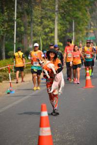 BIB: 
                            <button type="button" onclick="openModal(7946950)" class="btn btn-primary btn-sm float-right btn-popup" data-toggle="modal" data-target=".modal-high-quality">
                        <i class="fas fa-shopping-cart"></i> Add to Cart
                    </button>
                                            <button type="button" onclick="isThisMe(7946950, true)" class="btn btn-success btn-sm float-right btn-popup btn-isme hidden" data-toggle="tooltip" data-placement="bottom" title="นี่คือรูปของคุณใช่ไหม คลิกที่นี่เพื่อเอาเข้าอัลบั้ม">
                        <i class="fas fa-plus"></i> Add to album
                    </button>
                    <button type="button" onclick="isThisMe(7946950, false)" class="btn btn-warning btn-sm float-right btn-popup btn-isnotme hidden">
                        <i class="fas fa-ban"></i> Remove from album
                    </button>