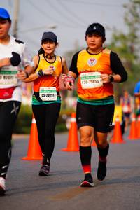 BIB: 82011, 25855, 20291
                            <button type="button" onclick="openModal(8568191)" class="btn btn-primary btn-sm float-right btn-popup" data-toggle="modal" data-target=".modal-high-quality">
                        <i class="fas fa-shopping-cart"></i> Add to Cart
                    </button>
                                            <button type="button" onclick="isThisMe(8568191, true)" class="btn btn-success btn-sm float-right btn-popup btn-isme hidden" data-toggle="tooltip" data-placement="bottom" title="นี่คือรูปของคุณใช่ไหม คลิกที่นี่เพื่อเอาเข้าอัลบั้ม">
                        <i class="fas fa-plus"></i> Add to album
                    </button>
                    <button type="button" onclick="isThisMe(8568191, false)" class="btn btn-warning btn-sm float-right btn-popup btn-isnotme hidden">
                        <i class="fas fa-ban"></i> Remove from album
                    </button>