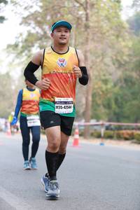 BIB: 42544
                            <button type="button" onclick="openModal(8263210)" class="btn btn-primary btn-sm float-right btn-popup" data-toggle="modal" data-target=".modal-high-quality">
                        <i class="fas fa-shopping-cart"></i> Add to Cart
                    </button>
                                            <button type="button" onclick="isThisMe(8263210, true)" class="btn btn-success btn-sm float-right btn-popup btn-isme hidden" data-toggle="tooltip" data-placement="bottom" title="นี่คือรูปของคุณใช่ไหม คลิกที่นี่เพื่อเอาเข้าอัลบั้ม">
                        <i class="fas fa-plus"></i> Add to album
                    </button>
                    <button type="button" onclick="isThisMe(8263210, false)" class="btn btn-warning btn-sm float-right btn-popup btn-isnotme hidden">
                        <i class="fas fa-ban"></i> Remove from album
                    </button>