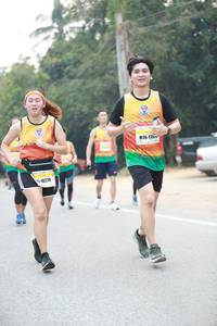 BIB: 175, 10279, 
                            <button type="button" onclick="openModal(8448389)" class="btn btn-primary btn-sm float-right btn-popup" data-toggle="modal" data-target=".modal-high-quality">
                        <i class="fas fa-shopping-cart"></i> Add to Cart
                    </button>
                                            <button type="button" onclick="isThisMe(8448389, true)" class="btn btn-success btn-sm float-right btn-popup btn-isme hidden" data-toggle="tooltip" data-placement="bottom" title="นี่คือรูปของคุณใช่ไหม คลิกที่นี่เพื่อเอาเข้าอัลบั้ม">
                        <i class="fas fa-plus"></i> Add to album
                    </button>
                    <button type="button" onclick="isThisMe(8448389, false)" class="btn btn-warning btn-sm float-right btn-popup btn-isnotme hidden">
                        <i class="fas fa-ban"></i> Remove from album
                    </button>