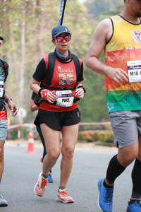 BIB: 
                            <button type="button" onclick="openModal(8275269)" class="btn btn-primary btn-sm float-right btn-popup" data-toggle="modal" data-target=".modal-high-quality">
                        <i class="fas fa-shopping-cart"></i> Add to Cart
                    </button>
                                            <button type="button" onclick="isThisMe(8275269, true)" class="btn btn-success btn-sm float-right btn-popup btn-isme hidden" data-toggle="tooltip" data-placement="bottom" title="นี่คือรูปของคุณใช่ไหม คลิกที่นี่เพื่อเอาเข้าอัลบั้ม">
                        <i class="fas fa-plus"></i> Add to album
                    </button>
                    <button type="button" onclick="isThisMe(8275269, false)" class="btn btn-warning btn-sm float-right btn-popup btn-isnotme hidden">
                        <i class="fas fa-ban"></i> Remove from album
                    </button>