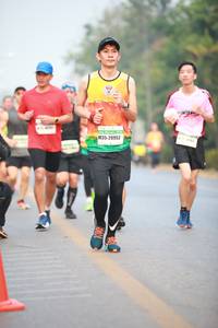 BIB: 47560
                            <button type="button" onclick="openModal(8173366)" class="btn btn-primary btn-sm float-right btn-popup" data-toggle="modal" data-target=".modal-high-quality">
                        <i class="fas fa-shopping-cart"></i> Add to Cart
                    </button>
                                            <button type="button" onclick="isThisMe(8173366, true)" class="btn btn-success btn-sm float-right btn-popup btn-isme hidden" data-toggle="tooltip" data-placement="bottom" title="นี่คือรูปของคุณใช่ไหม คลิกที่นี่เพื่อเอาเข้าอัลบั้ม">
                        <i class="fas fa-plus"></i> Add to album
                    </button>
                    <button type="button" onclick="isThisMe(8173366, false)" class="btn btn-warning btn-sm float-right btn-popup btn-isnotme hidden">
                        <i class="fas fa-ban"></i> Remove from album
                    </button>
