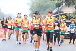 BIB: 16051, 47622
                            <button type="button" onclick="openModal(9501705)" class="btn btn-primary btn-sm float-right btn-popup" data-toggle="modal" data-target=".modal-high-quality">
                        <i class="fas fa-shopping-cart"></i> Add to Cart
                    </button>
                                            <button type="button" onclick="isThisMe(9501705, true)" class="btn btn-success btn-sm float-right btn-popup btn-isme hidden" data-toggle="tooltip" data-placement="bottom" title="นี่คือรูปของคุณใช่ไหม คลิกที่นี่เพื่อเอาเข้าอัลบั้ม">
                        <i class="fas fa-plus"></i> Add to album
                    </button>
                    <button type="button" onclick="isThisMe(9501705, false)" class="btn btn-warning btn-sm float-right btn-popup btn-isnotme hidden">
                        <i class="fas fa-ban"></i> Remove from album
                    </button>