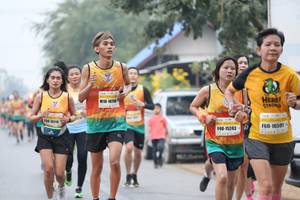 BIB: 10790, 16591, 15243
                            <button type="button" onclick="openModal(9491351)" class="btn btn-primary btn-sm float-right btn-popup" data-toggle="modal" data-target=".modal-high-quality">
                        <i class="fas fa-shopping-cart"></i> Add to Cart
                    </button>
                                            <button type="button" onclick="isThisMe(9491351, true)" class="btn btn-success btn-sm float-right btn-popup btn-isme hidden" data-toggle="tooltip" data-placement="bottom" title="นี่คือรูปของคุณใช่ไหม คลิกที่นี่เพื่อเอาเข้าอัลบั้ม">
                        <i class="fas fa-plus"></i> Add to album
                    </button>
                    <button type="button" onclick="isThisMe(9491351, false)" class="btn btn-warning btn-sm float-right btn-popup btn-isnotme hidden">
                        <i class="fas fa-ban"></i> Remove from album
                    </button>