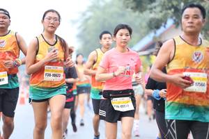 BIB: 10623, 817, 17564, 15014
                            <button type="button" onclick="openModal(9501077)" class="btn btn-primary btn-sm float-right btn-popup" data-toggle="modal" data-target=".modal-high-quality">
                        <i class="fas fa-shopping-cart"></i> Add to Cart
                    </button>
                                            <button type="button" onclick="isThisMe(9501077, true)" class="btn btn-success btn-sm float-right btn-popup btn-isme hidden" data-toggle="tooltip" data-placement="bottom" title="นี่คือรูปของคุณใช่ไหม คลิกที่นี่เพื่อเอาเข้าอัลบั้ม">
                        <i class="fas fa-plus"></i> Add to album
                    </button>
                    <button type="button" onclick="isThisMe(9501077, false)" class="btn btn-warning btn-sm float-right btn-popup btn-isnotme hidden">
                        <i class="fas fa-ban"></i> Remove from album
                    </button>