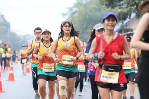 BIB: 17023, 15716
                            <button type="button" onclick="openModal(9494649)" class="btn btn-primary btn-sm float-right btn-popup" data-toggle="modal" data-target=".modal-high-quality">
                        <i class="fas fa-shopping-cart"></i> Add to Cart
                    </button>
                                            <button type="button" onclick="isThisMe(9494649, true)" class="btn btn-success btn-sm float-right btn-popup btn-isme hidden" data-toggle="tooltip" data-placement="bottom" title="นี่คือรูปของคุณใช่ไหม คลิกที่นี่เพื่อเอาเข้าอัลบั้ม">
                        <i class="fas fa-plus"></i> Add to album
                    </button>
                    <button type="button" onclick="isThisMe(9494649, false)" class="btn btn-warning btn-sm float-right btn-popup btn-isnotme hidden">
                        <i class="fas fa-ban"></i> Remove from album
                    </button>
