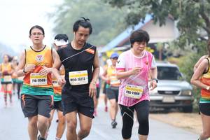 BIB: 16773, 17569, 11068
                            <button type="button" onclick="openModal(9493257)" class="btn btn-primary btn-sm float-right btn-popup" data-toggle="modal" data-target=".modal-high-quality">
                        <i class="fas fa-shopping-cart"></i> Add to Cart
                    </button>
                                            <button type="button" onclick="isThisMe(9493257, true)" class="btn btn-success btn-sm float-right btn-popup btn-isme hidden" data-toggle="tooltip" data-placement="bottom" title="นี่คือรูปของคุณใช่ไหม คลิกที่นี่เพื่อเอาเข้าอัลบั้ม">
                        <i class="fas fa-plus"></i> Add to album
                    </button>
                    <button type="button" onclick="isThisMe(9493257, false)" class="btn btn-warning btn-sm float-right btn-popup btn-isnotme hidden">
                        <i class="fas fa-ban"></i> Remove from album
                    </button>