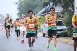 BIB: 1050, 11568, 16072
                            <button type="button" onclick="openModal(9490820)" class="btn btn-primary btn-sm float-right btn-popup" data-toggle="modal" data-target=".modal-high-quality">
                        <i class="fas fa-shopping-cart"></i> Add to Cart
                    </button>
                                            <button type="button" onclick="isThisMe(9490820, true)" class="btn btn-success btn-sm float-right btn-popup btn-isme hidden" data-toggle="tooltip" data-placement="bottom" title="นี่คือรูปของคุณใช่ไหม คลิกที่นี่เพื่อเอาเข้าอัลบั้ม">
                        <i class="fas fa-plus"></i> Add to album
                    </button>
                    <button type="button" onclick="isThisMe(9490820, false)" class="btn btn-warning btn-sm float-right btn-popup btn-isnotme hidden">
                        <i class="fas fa-ban"></i> Remove from album
                    </button>