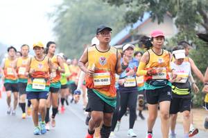 BIB: 1560, 16403
                            <button type="button" onclick="openModal(9493640)" class="btn btn-primary btn-sm float-right btn-popup" data-toggle="modal" data-target=".modal-high-quality">
                        <i class="fas fa-shopping-cart"></i> Add to Cart
                    </button>
                                            <button type="button" onclick="isThisMe(9493640, true)" class="btn btn-success btn-sm float-right btn-popup btn-isme hidden" data-toggle="tooltip" data-placement="bottom" title="นี่คือรูปของคุณใช่ไหม คลิกที่นี่เพื่อเอาเข้าอัลบั้ม">
                        <i class="fas fa-plus"></i> Add to album
                    </button>
                    <button type="button" onclick="isThisMe(9493640, false)" class="btn btn-warning btn-sm float-right btn-popup btn-isnotme hidden">
                        <i class="fas fa-ban"></i> Remove from album
                    </button>