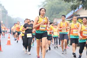 BIB: 1426, 160
                            <button type="button" onclick="openModal(9502102)" class="btn btn-primary btn-sm float-right btn-popup" data-toggle="modal" data-target=".modal-high-quality">
                        <i class="fas fa-shopping-cart"></i> Add to Cart
                    </button>
                                            <button type="button" onclick="isThisMe(9502102, true)" class="btn btn-success btn-sm float-right btn-popup btn-isme hidden" data-toggle="tooltip" data-placement="bottom" title="นี่คือรูปของคุณใช่ไหม คลิกที่นี่เพื่อเอาเข้าอัลบั้ม">
                        <i class="fas fa-plus"></i> Add to album
                    </button>
                    <button type="button" onclick="isThisMe(9502102, false)" class="btn btn-warning btn-sm float-right btn-popup btn-isnotme hidden">
                        <i class="fas fa-ban"></i> Remove from album
                    </button>