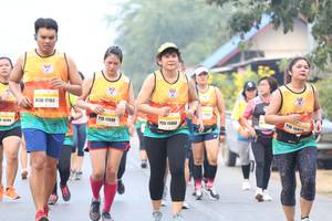 BIB: 17163, 15873, 17096, 11460
                            <button type="button" onclick="openModal(9501964)" class="btn btn-primary btn-sm float-right btn-popup" data-toggle="modal" data-target=".modal-high-quality">
                        <i class="fas fa-shopping-cart"></i> Add to Cart
                    </button>
                                            <button type="button" onclick="isThisMe(9501964, true)" class="btn btn-success btn-sm float-right btn-popup btn-isme hidden" data-toggle="tooltip" data-placement="bottom" title="นี่คือรูปของคุณใช่ไหม คลิกที่นี่เพื่อเอาเข้าอัลบั้ม">
                        <i class="fas fa-plus"></i> Add to album
                    </button>
                    <button type="button" onclick="isThisMe(9501964, false)" class="btn btn-warning btn-sm float-right btn-popup btn-isnotme hidden">
                        <i class="fas fa-ban"></i> Remove from album
                    </button>