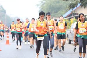 BIB: 16622, 10813, 15554
                            <button type="button" onclick="openModal(9501812)" class="btn btn-primary btn-sm float-right btn-popup" data-toggle="modal" data-target=".modal-high-quality">
                        <i class="fas fa-shopping-cart"></i> Add to Cart
                    </button>
                                            <button type="button" onclick="isThisMe(9501812, true)" class="btn btn-success btn-sm float-right btn-popup btn-isme hidden" data-toggle="tooltip" data-placement="bottom" title="นี่คือรูปของคุณใช่ไหม คลิกที่นี่เพื่อเอาเข้าอัลบั้ม">
                        <i class="fas fa-plus"></i> Add to album
                    </button>
                    <button type="button" onclick="isThisMe(9501812, false)" class="btn btn-warning btn-sm float-right btn-popup btn-isnotme hidden">
                        <i class="fas fa-ban"></i> Remove from album
                    </button>