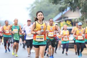 BIB: 10508
                            <button type="button" onclick="openModal(9500217)" class="btn btn-primary btn-sm float-right btn-popup" data-toggle="modal" data-target=".modal-high-quality">
                        <i class="fas fa-shopping-cart"></i> Add to Cart
                    </button>
                                            <button type="button" onclick="isThisMe(9500217, true)" class="btn btn-success btn-sm float-right btn-popup btn-isme hidden" data-toggle="tooltip" data-placement="bottom" title="นี่คือรูปของคุณใช่ไหม คลิกที่นี่เพื่อเอาเข้าอัลบั้ม">
                        <i class="fas fa-plus"></i> Add to album
                    </button>
                    <button type="button" onclick="isThisMe(9500217, false)" class="btn btn-warning btn-sm float-right btn-popup btn-isnotme hidden">
                        <i class="fas fa-ban"></i> Remove from album
                    </button>