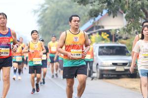 BIB: 2019, 17744, 11678
                            <button type="button" onclick="openModal(9502070)" class="btn btn-primary btn-sm float-right btn-popup" data-toggle="modal" data-target=".modal-high-quality">
                        <i class="fas fa-shopping-cart"></i> Add to Cart
                    </button>
                                            <button type="button" onclick="isThisMe(9502070, true)" class="btn btn-success btn-sm float-right btn-popup btn-isme hidden" data-toggle="tooltip" data-placement="bottom" title="นี่คือรูปของคุณใช่ไหม คลิกที่นี่เพื่อเอาเข้าอัลบั้ม">
                        <i class="fas fa-plus"></i> Add to album
                    </button>
                    <button type="button" onclick="isThisMe(9502070, false)" class="btn btn-warning btn-sm float-right btn-popup btn-isnotme hidden">
                        <i class="fas fa-ban"></i> Remove from album
                    </button>