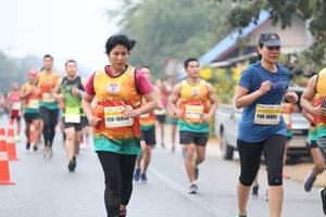BIB: 16891, 16849
                            <button type="button" onclick="openModal(9493046)" class="btn btn-primary btn-sm float-right btn-popup" data-toggle="modal" data-target=".modal-high-quality">
                        <i class="fas fa-shopping-cart"></i> Add to Cart
                    </button>
                                            <button type="button" onclick="isThisMe(9493046, true)" class="btn btn-success btn-sm float-right btn-popup btn-isme hidden" data-toggle="tooltip" data-placement="bottom" title="นี่คือรูปของคุณใช่ไหม คลิกที่นี่เพื่อเอาเข้าอัลบั้ม">
                        <i class="fas fa-plus"></i> Add to album
                    </button>
                    <button type="button" onclick="isThisMe(9493046, false)" class="btn btn-warning btn-sm float-right btn-popup btn-isnotme hidden">
                        <i class="fas fa-ban"></i> Remove from album
                    </button>