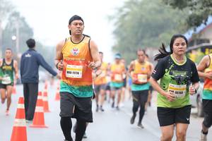 BIB: 11774, 10780
                            <button type="button" onclick="openModal(9493149)" class="btn btn-primary btn-sm float-right btn-popup" data-toggle="modal" data-target=".modal-high-quality">
                        <i class="fas fa-shopping-cart"></i> Add to Cart
                    </button>
                                            <button type="button" onclick="isThisMe(9493149, true)" class="btn btn-success btn-sm float-right btn-popup btn-isme hidden" data-toggle="tooltip" data-placement="bottom" title="นี่คือรูปของคุณใช่ไหม คลิกที่นี่เพื่อเอาเข้าอัลบั้ม">
                        <i class="fas fa-plus"></i> Add to album
                    </button>
                    <button type="button" onclick="isThisMe(9493149, false)" class="btn btn-warning btn-sm float-right btn-popup btn-isnotme hidden">
                        <i class="fas fa-ban"></i> Remove from album
                    </button>