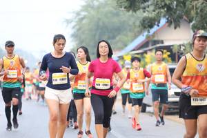 BIB: 17802, 140, 17801, 10471
                            <button type="button" onclick="openModal(9501459)" class="btn btn-primary btn-sm float-right btn-popup" data-toggle="modal" data-target=".modal-high-quality">
                        <i class="fas fa-shopping-cart"></i> Add to Cart
                    </button>
                                            <button type="button" onclick="isThisMe(9501459, true)" class="btn btn-success btn-sm float-right btn-popup btn-isme hidden" data-toggle="tooltip" data-placement="bottom" title="นี่คือรูปของคุณใช่ไหม คลิกที่นี่เพื่อเอาเข้าอัลบั้ม">
                        <i class="fas fa-plus"></i> Add to album
                    </button>
                    <button type="button" onclick="isThisMe(9501459, false)" class="btn btn-warning btn-sm float-right btn-popup btn-isnotme hidden">
                        <i class="fas fa-ban"></i> Remove from album
                    </button>