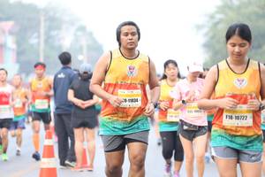 BIB: 11834, 125, 10722
                            <button type="button" onclick="openModal(9501921)" class="btn btn-primary btn-sm float-right btn-popup" data-toggle="modal" data-target=".modal-high-quality">
                        <i class="fas fa-shopping-cart"></i> Add to Cart
                    </button>
                                            <button type="button" onclick="isThisMe(9501921, true)" class="btn btn-success btn-sm float-right btn-popup btn-isme hidden" data-toggle="tooltip" data-placement="bottom" title="นี่คือรูปของคุณใช่ไหม คลิกที่นี่เพื่อเอาเข้าอัลบั้ม">
                        <i class="fas fa-plus"></i> Add to album
                    </button>
                    <button type="button" onclick="isThisMe(9501921, false)" class="btn btn-warning btn-sm float-right btn-popup btn-isnotme hidden">
                        <i class="fas fa-ban"></i> Remove from album
                    </button>