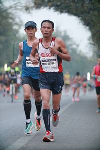 BIB: 45796
                            <button type="button" onclick="openModal(10320684)" class="btn btn-primary btn-sm float-right btn-popup" data-toggle="modal" data-target=".modal-high-quality">
                        <i class="fas fa-shopping-cart"></i> Add to Cart
                    </button>
                                            <button type="button" onclick="isThisMe(10320684, true)" class="btn btn-success btn-sm float-right btn-popup btn-isme hidden" data-toggle="tooltip" data-placement="bottom" title="นี่คือรูปของคุณใช่ไหม คลิกที่นี่เพื่อเอาเข้าอัลบั้ม">
                        <i class="fas fa-plus"></i> Add to album
                    </button>
                    <button type="button" onclick="isThisMe(10320684, false)" class="btn btn-warning btn-sm float-right btn-popup btn-isnotme hidden">
                        <i class="fas fa-ban"></i> Remove from album
                    </button>