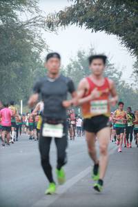 BIB: 
                            <button type="button" onclick="openModal(10325790)" class="btn btn-primary btn-sm float-right btn-popup" data-toggle="modal" data-target=".modal-high-quality">
                        <i class="fas fa-shopping-cart"></i> Add to Cart
                    </button>
                                            <button type="button" onclick="isThisMe(10325790, true)" class="btn btn-success btn-sm float-right btn-popup btn-isme hidden" data-toggle="tooltip" data-placement="bottom" title="นี่คือรูปของคุณใช่ไหม คลิกที่นี่เพื่อเอาเข้าอัลบั้ม">
                        <i class="fas fa-plus"></i> Add to album
                    </button>
                    <button type="button" onclick="isThisMe(10325790, false)" class="btn btn-warning btn-sm float-right btn-popup btn-isnotme hidden">
                        <i class="fas fa-ban"></i> Remove from album
                    </button>