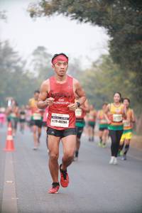 BIB: 48284
                            <button type="button" onclick="openModal(10041355)" class="btn btn-primary btn-sm float-right btn-popup" data-toggle="modal" data-target=".modal-high-quality">
                        <i class="fas fa-shopping-cart"></i> Add to Cart
                    </button>
                                            <button type="button" onclick="isThisMe(10041355, true)" class="btn btn-success btn-sm float-right btn-popup btn-isme hidden" data-toggle="tooltip" data-placement="bottom" title="นี่คือรูปของคุณใช่ไหม คลิกที่นี่เพื่อเอาเข้าอัลบั้ม">
                        <i class="fas fa-plus"></i> Add to album
                    </button>
                    <button type="button" onclick="isThisMe(10041355, false)" class="btn btn-warning btn-sm float-right btn-popup btn-isnotme hidden">
                        <i class="fas fa-ban"></i> Remove from album
                    </button>