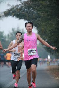 BIB: 48435, 41090
                            <button type="button" onclick="openModal(10286808)" class="btn btn-primary btn-sm float-right btn-popup" data-toggle="modal" data-target=".modal-high-quality">
                        <i class="fas fa-shopping-cart"></i> Add to Cart
                    </button>
                                            <button type="button" onclick="isThisMe(10286808, true)" class="btn btn-success btn-sm float-right btn-popup btn-isme hidden" data-toggle="tooltip" data-placement="bottom" title="นี่คือรูปของคุณใช่ไหม คลิกที่นี่เพื่อเอาเข้าอัลบั้ม">
                        <i class="fas fa-plus"></i> Add to album
                    </button>
                    <button type="button" onclick="isThisMe(10286808, false)" class="btn btn-warning btn-sm float-right btn-popup btn-isnotme hidden">
                        <i class="fas fa-ban"></i> Remove from album
                    </button>