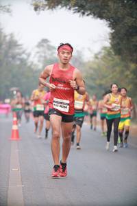 BIB: 48284
                            <button type="button" onclick="openModal(10041318)" class="btn btn-primary btn-sm float-right btn-popup" data-toggle="modal" data-target=".modal-high-quality">
                        <i class="fas fa-shopping-cart"></i> Add to Cart
                    </button>
                                            <button type="button" onclick="isThisMe(10041318, true)" class="btn btn-success btn-sm float-right btn-popup btn-isme hidden" data-toggle="tooltip" data-placement="bottom" title="นี่คือรูปของคุณใช่ไหม คลิกที่นี่เพื่อเอาเข้าอัลบั้ม">
                        <i class="fas fa-plus"></i> Add to album
                    </button>
                    <button type="button" onclick="isThisMe(10041318, false)" class="btn btn-warning btn-sm float-right btn-popup btn-isnotme hidden">
                        <i class="fas fa-ban"></i> Remove from album
                    </button>