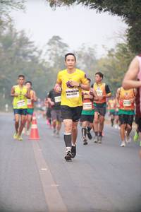 BIB: 4390
                            <button type="button" onclick="openModal(10117909)" class="btn btn-primary btn-sm float-right btn-popup" data-toggle="modal" data-target=".modal-high-quality">
                        <i class="fas fa-shopping-cart"></i> Add to Cart
                    </button>
                                            <button type="button" onclick="isThisMe(10117909, true)" class="btn btn-success btn-sm float-right btn-popup btn-isme hidden" data-toggle="tooltip" data-placement="bottom" title="นี่คือรูปของคุณใช่ไหม คลิกที่นี่เพื่อเอาเข้าอัลบั้ม">
                        <i class="fas fa-plus"></i> Add to album
                    </button>
                    <button type="button" onclick="isThisMe(10117909, false)" class="btn btn-warning btn-sm float-right btn-popup btn-isnotme hidden">
                        <i class="fas fa-ban"></i> Remove from album
                    </button>