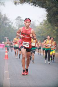 BIB: 48284
                            <button type="button" onclick="openModal(10041258)" class="btn btn-primary btn-sm float-right btn-popup" data-toggle="modal" data-target=".modal-high-quality">
                        <i class="fas fa-shopping-cart"></i> Add to Cart
                    </button>
                                            <button type="button" onclick="isThisMe(10041258, true)" class="btn btn-success btn-sm float-right btn-popup btn-isme hidden" data-toggle="tooltip" data-placement="bottom" title="นี่คือรูปของคุณใช่ไหม คลิกที่นี่เพื่อเอาเข้าอัลบั้ม">
                        <i class="fas fa-plus"></i> Add to album
                    </button>
                    <button type="button" onclick="isThisMe(10041258, false)" class="btn btn-warning btn-sm float-right btn-popup btn-isnotme hidden">
                        <i class="fas fa-ban"></i> Remove from album
                    </button>