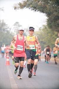 BIB: 26958, 45480
                            <button type="button" onclick="openModal(10111838)" class="btn btn-primary btn-sm float-right btn-popup" data-toggle="modal" data-target=".modal-high-quality">
                        <i class="fas fa-shopping-cart"></i> Add to Cart
                    </button>
                                            <button type="button" onclick="isThisMe(10111838, true)" class="btn btn-success btn-sm float-right btn-popup btn-isme hidden" data-toggle="tooltip" data-placement="bottom" title="นี่คือรูปของคุณใช่ไหม คลิกที่นี่เพื่อเอาเข้าอัลบั้ม">
                        <i class="fas fa-plus"></i> Add to album
                    </button>
                    <button type="button" onclick="isThisMe(10111838, false)" class="btn btn-warning btn-sm float-right btn-popup btn-isnotme hidden">
                        <i class="fas fa-ban"></i> Remove from album
                    </button>