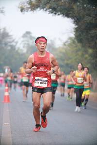 BIB: 48284
                            <button type="button" onclick="openModal(10041351)" class="btn btn-primary btn-sm float-right btn-popup" data-toggle="modal" data-target=".modal-high-quality">
                        <i class="fas fa-shopping-cart"></i> Add to Cart
                    </button>
                                            <button type="button" onclick="isThisMe(10041351, true)" class="btn btn-success btn-sm float-right btn-popup btn-isme hidden" data-toggle="tooltip" data-placement="bottom" title="นี่คือรูปของคุณใช่ไหม คลิกที่นี่เพื่อเอาเข้าอัลบั้ม">
                        <i class="fas fa-plus"></i> Add to album
                    </button>
                    <button type="button" onclick="isThisMe(10041351, false)" class="btn btn-warning btn-sm float-right btn-popup btn-isnotme hidden">
                        <i class="fas fa-ban"></i> Remove from album
                    </button>