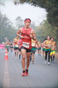 BIB: 48284
                            <button type="button" onclick="openModal(10041271)" class="btn btn-primary btn-sm float-right btn-popup" data-toggle="modal" data-target=".modal-high-quality">
                        <i class="fas fa-shopping-cart"></i> Add to Cart
                    </button>
                                            <button type="button" onclick="isThisMe(10041271, true)" class="btn btn-success btn-sm float-right btn-popup btn-isme hidden" data-toggle="tooltip" data-placement="bottom" title="นี่คือรูปของคุณใช่ไหม คลิกที่นี่เพื่อเอาเข้าอัลบั้ม">
                        <i class="fas fa-plus"></i> Add to album
                    </button>
                    <button type="button" onclick="isThisMe(10041271, false)" class="btn btn-warning btn-sm float-right btn-popup btn-isnotme hidden">
                        <i class="fas fa-ban"></i> Remove from album
                    </button>