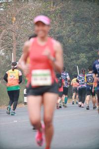 BIB: 
                            <button type="button" onclick="openModal(10361534)" class="btn btn-primary btn-sm float-right btn-popup" data-toggle="modal" data-target=".modal-high-quality">
                        <i class="fas fa-shopping-cart"></i> Add to Cart
                    </button>
                                            <button type="button" onclick="isThisMe(10361534, true)" class="btn btn-success btn-sm float-right btn-popup btn-isme hidden" data-toggle="tooltip" data-placement="bottom" title="นี่คือรูปของคุณใช่ไหม คลิกที่นี่เพื่อเอาเข้าอัลบั้ม">
                        <i class="fas fa-plus"></i> Add to album
                    </button>
                    <button type="button" onclick="isThisMe(10361534, false)" class="btn btn-warning btn-sm float-right btn-popup btn-isnotme hidden">
                        <i class="fas fa-ban"></i> Remove from album
                    </button>