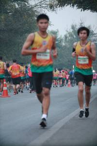 BIB: 
                            <button type="button" onclick="openModal(10305379)" class="btn btn-primary btn-sm float-right btn-popup" data-toggle="modal" data-target=".modal-high-quality">
                        <i class="fas fa-shopping-cart"></i> Add to Cart
                    </button>
                                            <button type="button" onclick="isThisMe(10305379, true)" class="btn btn-success btn-sm float-right btn-popup btn-isme hidden" data-toggle="tooltip" data-placement="bottom" title="นี่คือรูปของคุณใช่ไหม คลิกที่นี่เพื่อเอาเข้าอัลบั้ม">
                        <i class="fas fa-plus"></i> Add to album
                    </button>
                    <button type="button" onclick="isThisMe(10305379, false)" class="btn btn-warning btn-sm float-right btn-popup btn-isnotme hidden">
                        <i class="fas fa-ban"></i> Remove from album
                    </button>