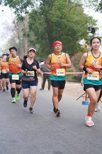 BIB: 10984, 15346
                            <button type="button" onclick="openModal(9355497)" class="btn btn-primary btn-sm float-right btn-popup" data-toggle="modal" data-target=".modal-high-quality">
                        <i class="fas fa-shopping-cart"></i> Add to Cart
                    </button>
                                            <button type="button" onclick="isThisMe(9355497, true)" class="btn btn-success btn-sm float-right btn-popup btn-isme hidden" data-toggle="tooltip" data-placement="bottom" title="นี่คือรูปของคุณใช่ไหม คลิกที่นี่เพื่อเอาเข้าอัลบั้ม">
                        <i class="fas fa-plus"></i> Add to album
                    </button>
                    <button type="button" onclick="isThisMe(9355497, false)" class="btn btn-warning btn-sm float-right btn-popup btn-isnotme hidden">
                        <i class="fas fa-ban"></i> Remove from album
                    </button>