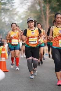 BIB: 16510
                            <button type="button" onclick="openModal(9451289)" class="btn btn-primary btn-sm float-right btn-popup" data-toggle="modal" data-target=".modal-high-quality">
                        <i class="fas fa-shopping-cart"></i> Add to Cart
                    </button>
                                            <button type="button" onclick="isThisMe(9451289, true)" class="btn btn-success btn-sm float-right btn-popup btn-isme hidden" data-toggle="tooltip" data-placement="bottom" title="นี่คือรูปของคุณใช่ไหม คลิกที่นี่เพื่อเอาเข้าอัลบั้ม">
                        <i class="fas fa-plus"></i> Add to album
                    </button>
                    <button type="button" onclick="isThisMe(9451289, false)" class="btn btn-warning btn-sm float-right btn-popup btn-isnotme hidden">
                        <i class="fas fa-ban"></i> Remove from album
                    </button>