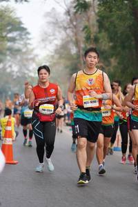 BIB: 16195, 17311, 16478, 
                            <button type="button" onclick="openModal(9421421)" class="btn btn-primary btn-sm float-right btn-popup" data-toggle="modal" data-target=".modal-high-quality">
                        <i class="fas fa-shopping-cart"></i> Add to Cart
                    </button>
                                            <button type="button" onclick="isThisMe(9421421, true)" class="btn btn-success btn-sm float-right btn-popup btn-isme hidden" data-toggle="tooltip" data-placement="bottom" title="นี่คือรูปของคุณใช่ไหม คลิกที่นี่เพื่อเอาเข้าอัลบั้ม">
                        <i class="fas fa-plus"></i> Add to album
                    </button>
                    <button type="button" onclick="isThisMe(9421421, false)" class="btn btn-warning btn-sm float-right btn-popup btn-isnotme hidden">
                        <i class="fas fa-ban"></i> Remove from album
                    </button>