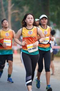 BIB: 0255, 16443
                            <button type="button" onclick="openModal(9437714)" class="btn btn-primary btn-sm float-right btn-popup" data-toggle="modal" data-target=".modal-high-quality">
                        <i class="fas fa-shopping-cart"></i> Add to Cart
                    </button>
                                            <button type="button" onclick="isThisMe(9437714, true)" class="btn btn-success btn-sm float-right btn-popup btn-isme hidden" data-toggle="tooltip" data-placement="bottom" title="นี่คือรูปของคุณใช่ไหม คลิกที่นี่เพื่อเอาเข้าอัลบั้ม">
                        <i class="fas fa-plus"></i> Add to album
                    </button>
                    <button type="button" onclick="isThisMe(9437714, false)" class="btn btn-warning btn-sm float-right btn-popup btn-isnotme hidden">
                        <i class="fas fa-ban"></i> Remove from album
                    </button>