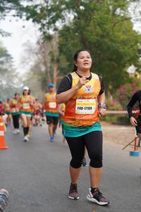 BIB: 17100
                            <button type="button" onclick="openModal(9472839)" class="btn btn-primary btn-sm float-right btn-popup" data-toggle="modal" data-target=".modal-high-quality">
                        <i class="fas fa-shopping-cart"></i> Add to Cart
                    </button>
                                            <button type="button" onclick="isThisMe(9472839, true)" class="btn btn-success btn-sm float-right btn-popup btn-isme hidden" data-toggle="tooltip" data-placement="bottom" title="นี่คือรูปของคุณใช่ไหม คลิกที่นี่เพื่อเอาเข้าอัลบั้ม">
                        <i class="fas fa-plus"></i> Add to album
                    </button>
                    <button type="button" onclick="isThisMe(9472839, false)" class="btn btn-warning btn-sm float-right btn-popup btn-isnotme hidden">
                        <i class="fas fa-ban"></i> Remove from album
                    </button>