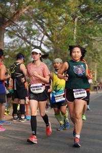 BIB: 48020, 48159, 4895
                            <button type="button" onclick="openModal(9618040)" class="btn btn-primary btn-sm float-right btn-popup" data-toggle="modal" data-target=".modal-high-quality">
                        <i class="fas fa-shopping-cart"></i> Add to Cart
                    </button>
                                            <button type="button" onclick="isThisMe(9618040, true)" class="btn btn-success btn-sm float-right btn-popup btn-isme hidden" data-toggle="tooltip" data-placement="bottom" title="นี่คือรูปของคุณใช่ไหม คลิกที่นี่เพื่อเอาเข้าอัลบั้ม">
                        <i class="fas fa-plus"></i> Add to album
                    </button>
                    <button type="button" onclick="isThisMe(9618040, false)" class="btn btn-warning btn-sm float-right btn-popup btn-isnotme hidden">
                        <i class="fas fa-ban"></i> Remove from album
                    </button>