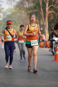BIB: 2545, 26788
                            <button type="button" onclick="openModal(9613026)" class="btn btn-primary btn-sm float-right btn-popup" data-toggle="modal" data-target=".modal-high-quality">
                        <i class="fas fa-shopping-cart"></i> Add to Cart
                    </button>
                                            <button type="button" onclick="isThisMe(9613026, true)" class="btn btn-success btn-sm float-right btn-popup btn-isme hidden" data-toggle="tooltip" data-placement="bottom" title="นี่คือรูปของคุณใช่ไหม คลิกที่นี่เพื่อเอาเข้าอัลบั้ม">
                        <i class="fas fa-plus"></i> Add to album
                    </button>
                    <button type="button" onclick="isThisMe(9613026, false)" class="btn btn-warning btn-sm float-right btn-popup btn-isnotme hidden">
                        <i class="fas fa-ban"></i> Remove from album
                    </button>